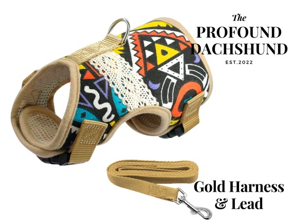 Escape proof cheap dachshund harness