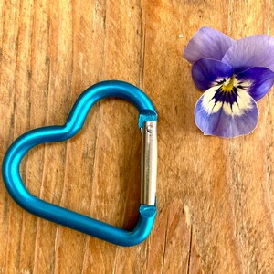 May include: A blue heart-shaped carabiner clip on a wooden surface with a purple and white pansy flower.