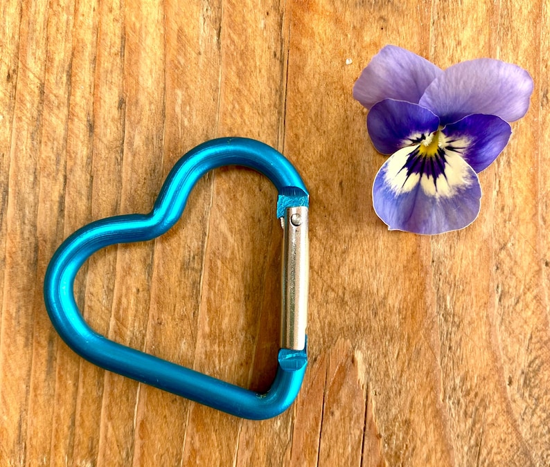 May include: A blue heart-shaped carabiner clip on a wooden surface with a purple and white pansy flower.