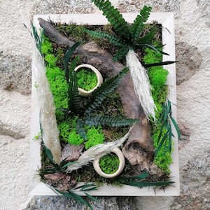 Plant painting, wall decoration, plant frame