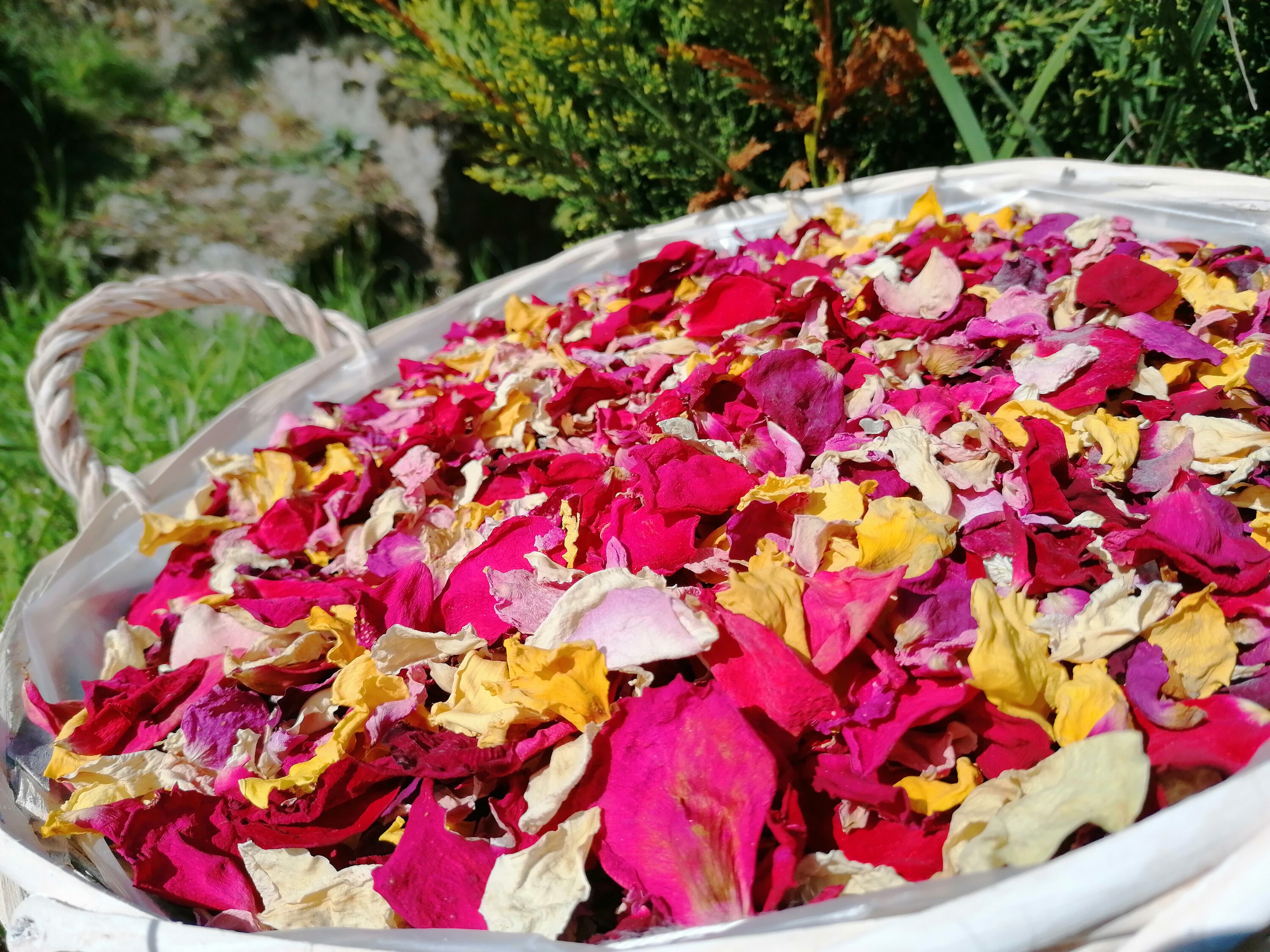 300g De Pétales De Rose Séchés Naturels - Parfait Pour Le Bain, Mariage, Décoration Et DIY