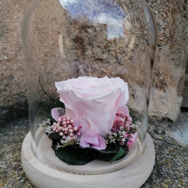 Cloche rose stabilisée, cloche décorative