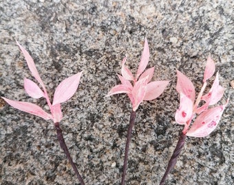 Pic à cheveux de ruscus en fleurs séchées et stabilisées pour mariage