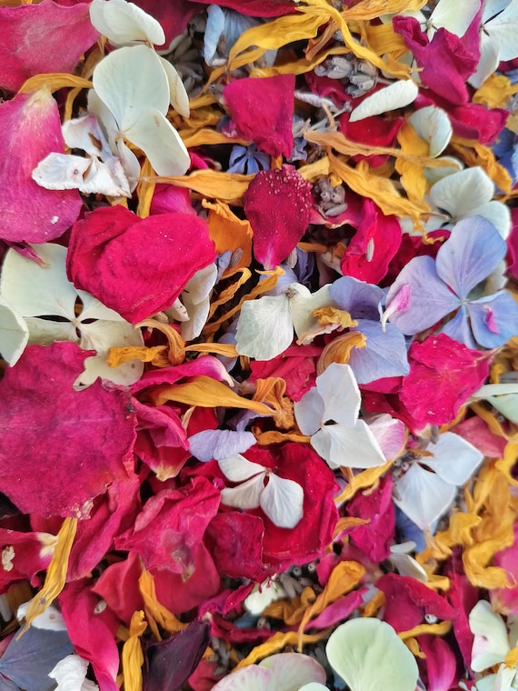 Pétales de roses séchées confettis fleurs séchées lavande - Etsy France