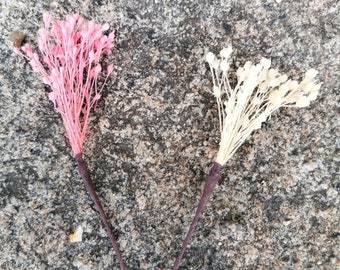 Pic à cheveux de broom bloom en fleurs séchées et stabilisées pour mariage