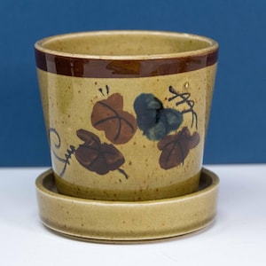 May include: A ceramic plant pot with a matching saucer. The pot is tan with a dark brown band around the rim and features a painted leaf design in brown and blue. The pot sits on a matching saucer.