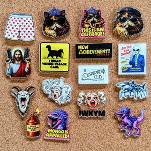 May include: A collection of colorful acrylic pins with various designs. Includes a pair of boxer shorts with heart patterns, cat faces with sunglasses, and a dinosaur. Some pins have text like "This is an Outrage!" and "Mongo is Appalled!"