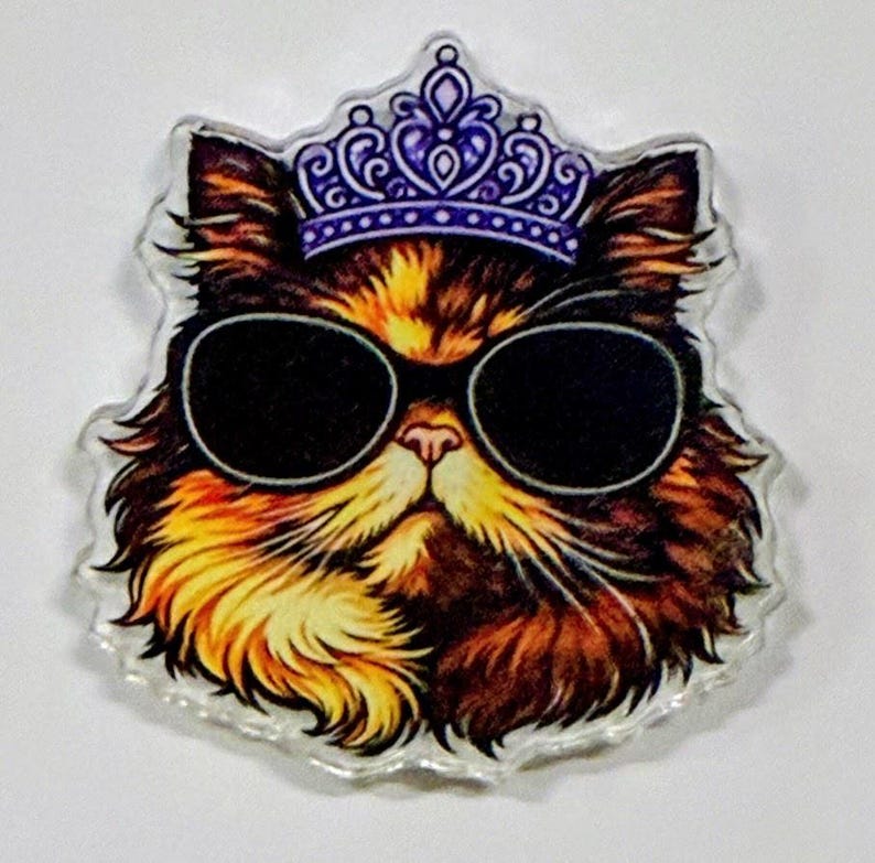 Dungeon Crawler Carl Magnets | Acrylic Fridge Magnets | Nerdy Magnet ...