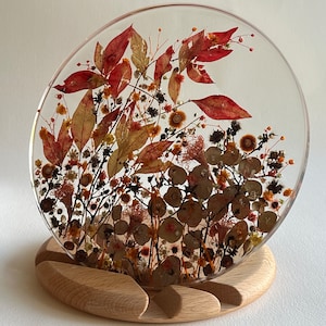 Wildflower art.Real dried Australian flowers display abstract art.Botanical  resin decor gift.Herbarium gift.Eucalyptus Gum display gift.