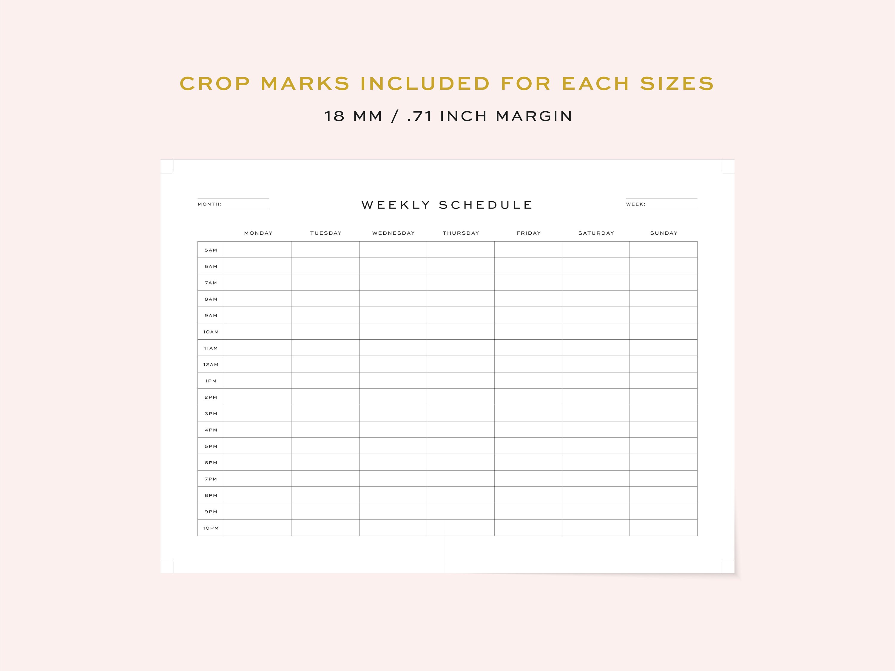 Printable Weekly Schedule, Fillable 5 AM 10 PM Personal Weekly Schedule, Planner 2 Sizes, A4 ...