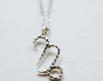 Zodiac Charm - Capricorn (12/22-1/19)