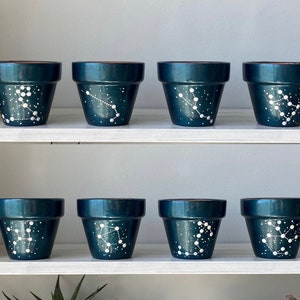 Zodiac Sign Constellation Pots (more colors available!)