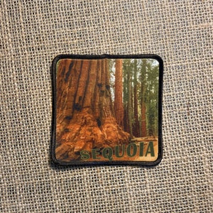 May include: A brown and green fabric patch with a picture of a giant sequoia tree and the word "SEQUOIA" in green letters.