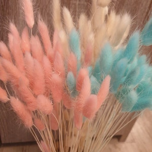 Bunny Tails | 11 colours | Dried Flowers | Rustic Home Decor | Dusty Pink|Bleached|Black | Bright Pink| Bright Blue | Purple | Yellow | Red