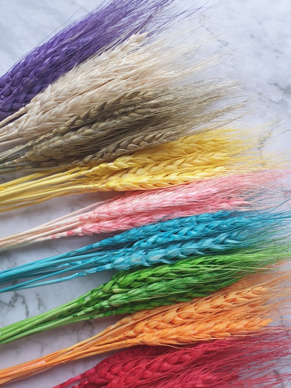 Natural Dried Bearded Wheat | 9 Colours | Home | Dried Flowers | Livi…