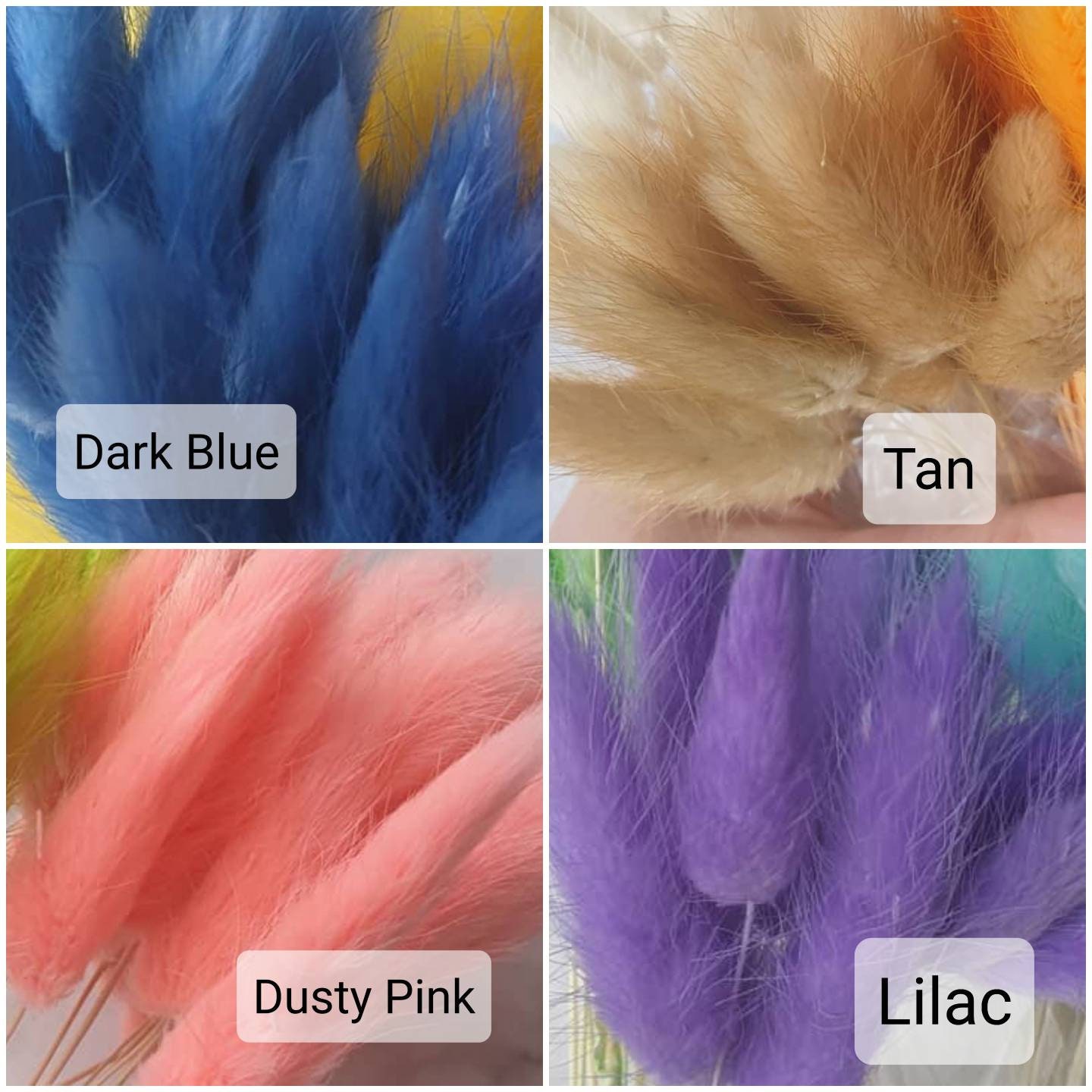 Bunny Tails 11 Colours Dried Flowers Rustic Home Decor Etsy UK