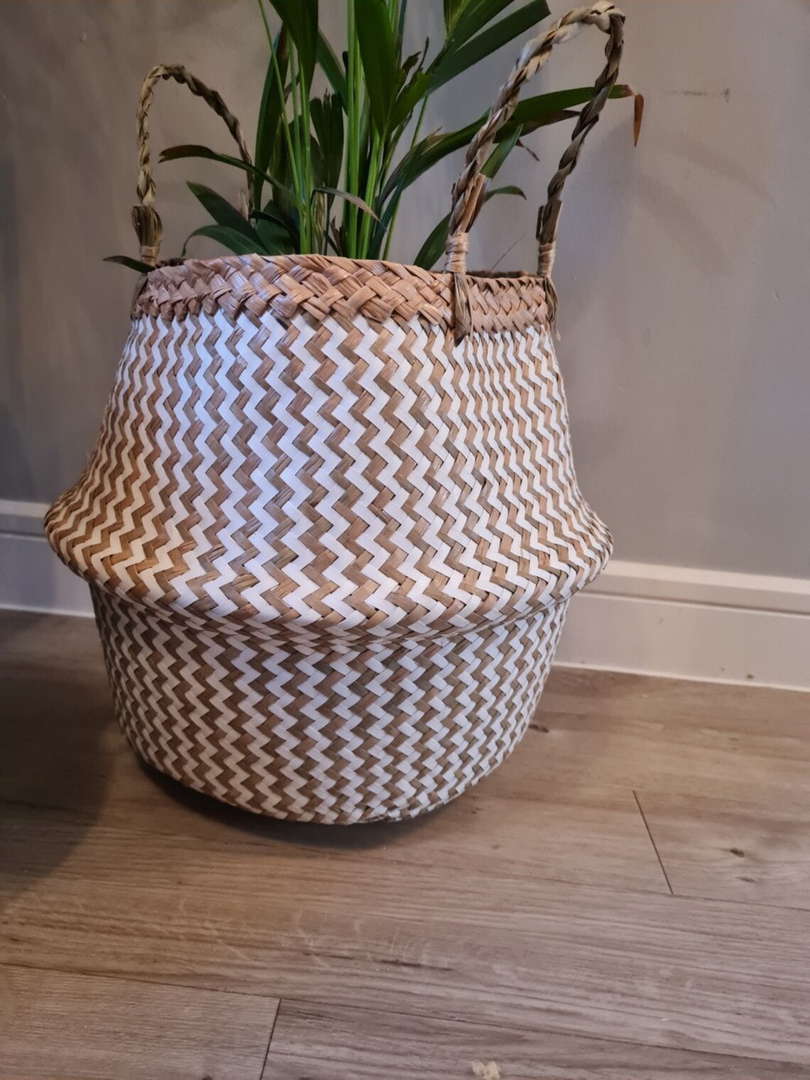 Belly Basket 7 Styles Seagrass Water Hyacinth Storage Etsy