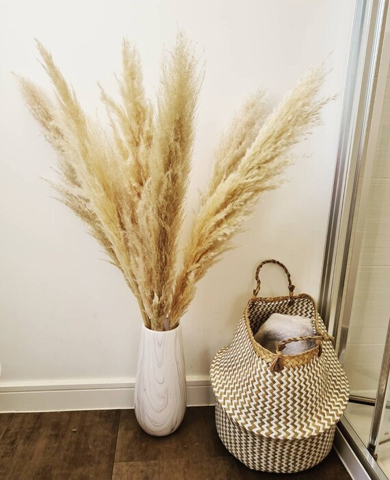 TALL 100cm Dried Natural / Bleached Pampas Grass Reed Fluffy Stem Bunch  Decorative Dried Flower Feather 