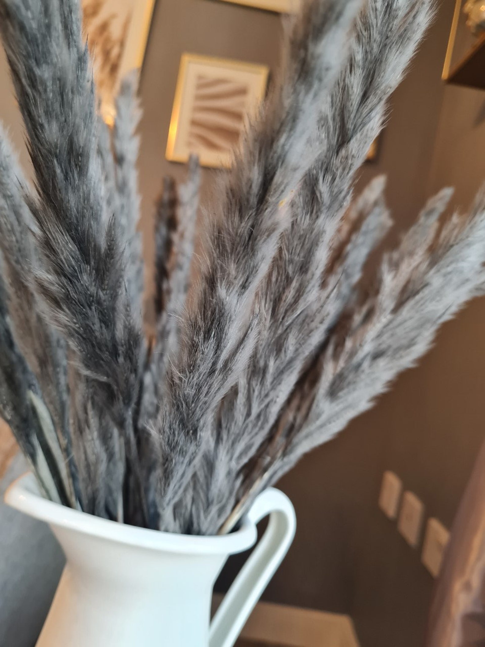 Bunch of Fluffy 60cm Grey Pampas Grass Dried Pampas Grass Etsy UK