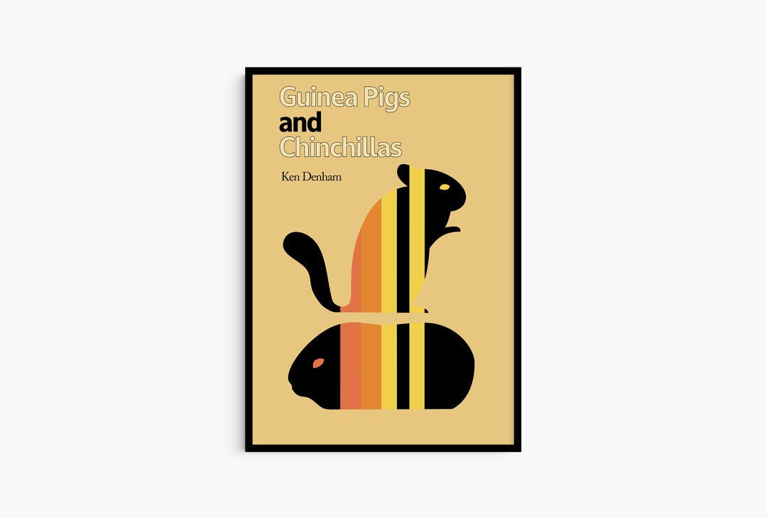 Guinea Pigs and Chinchillas Vintage Book Cover Art Poster Print Mid ...