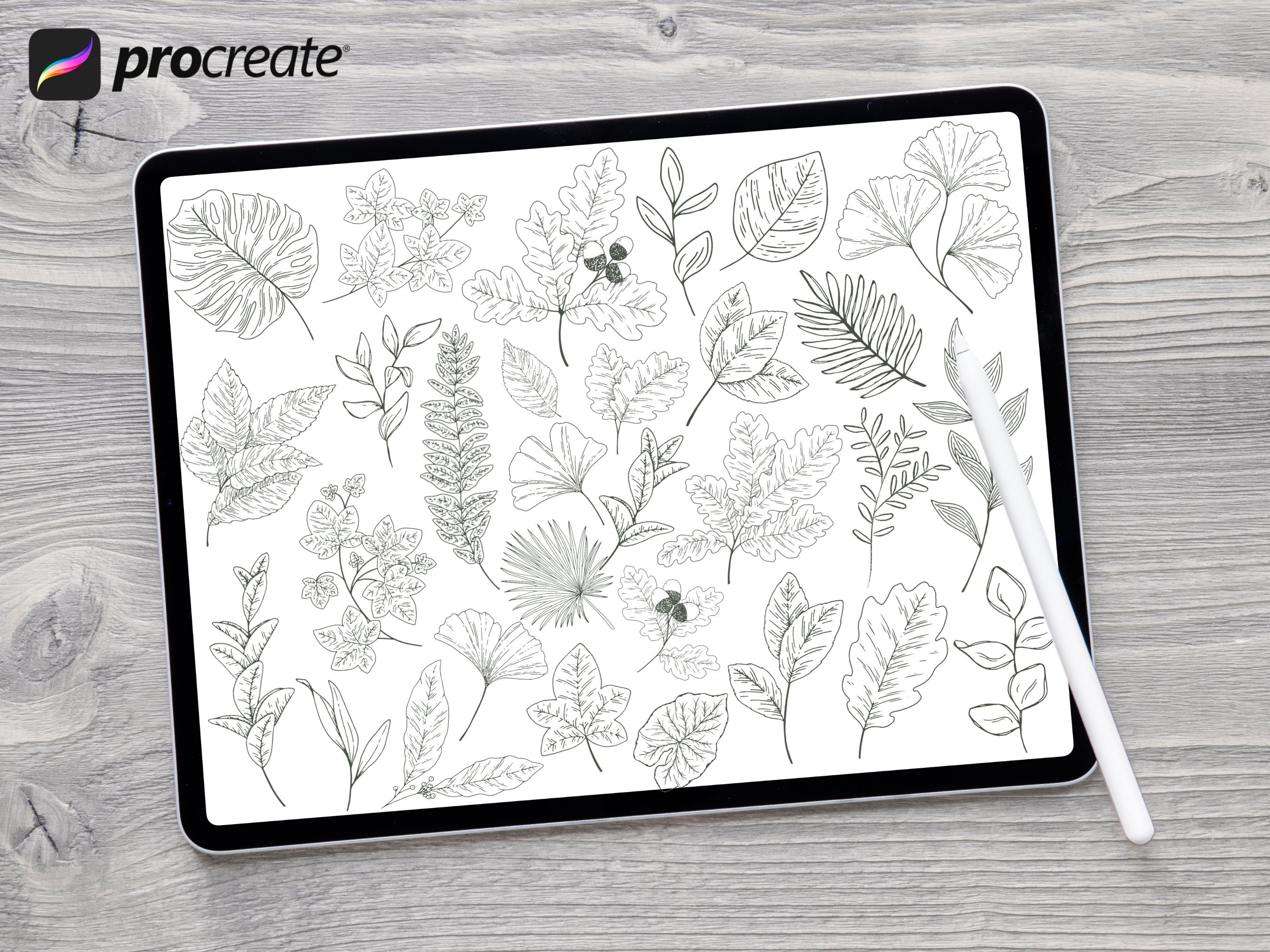 Procreate Leaf Stamps | 30 Botanical Stamp Brush Set for All Seasons ...