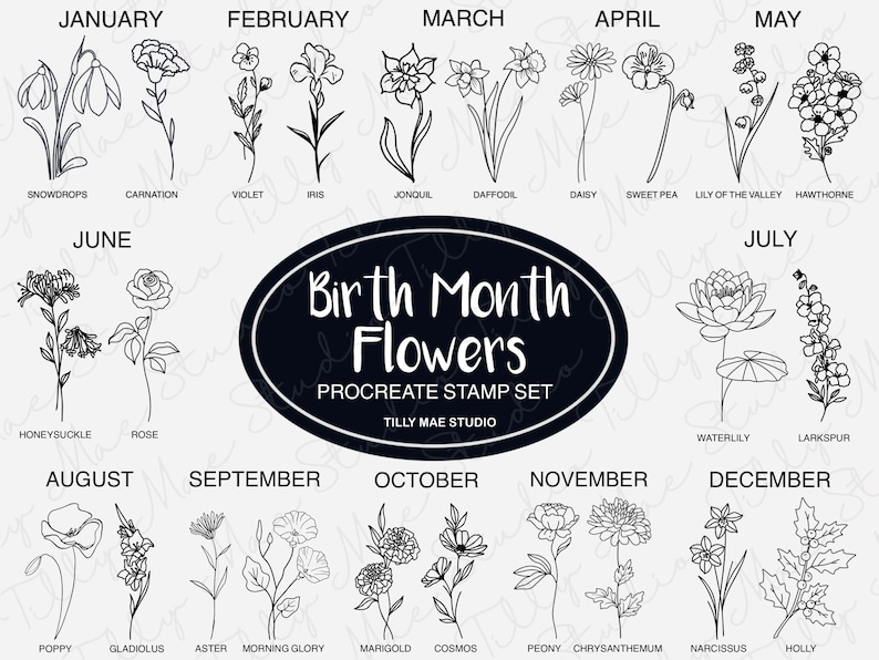 Birth Month Flowers Procreate Stamps: Floral Brush Set (digital ...