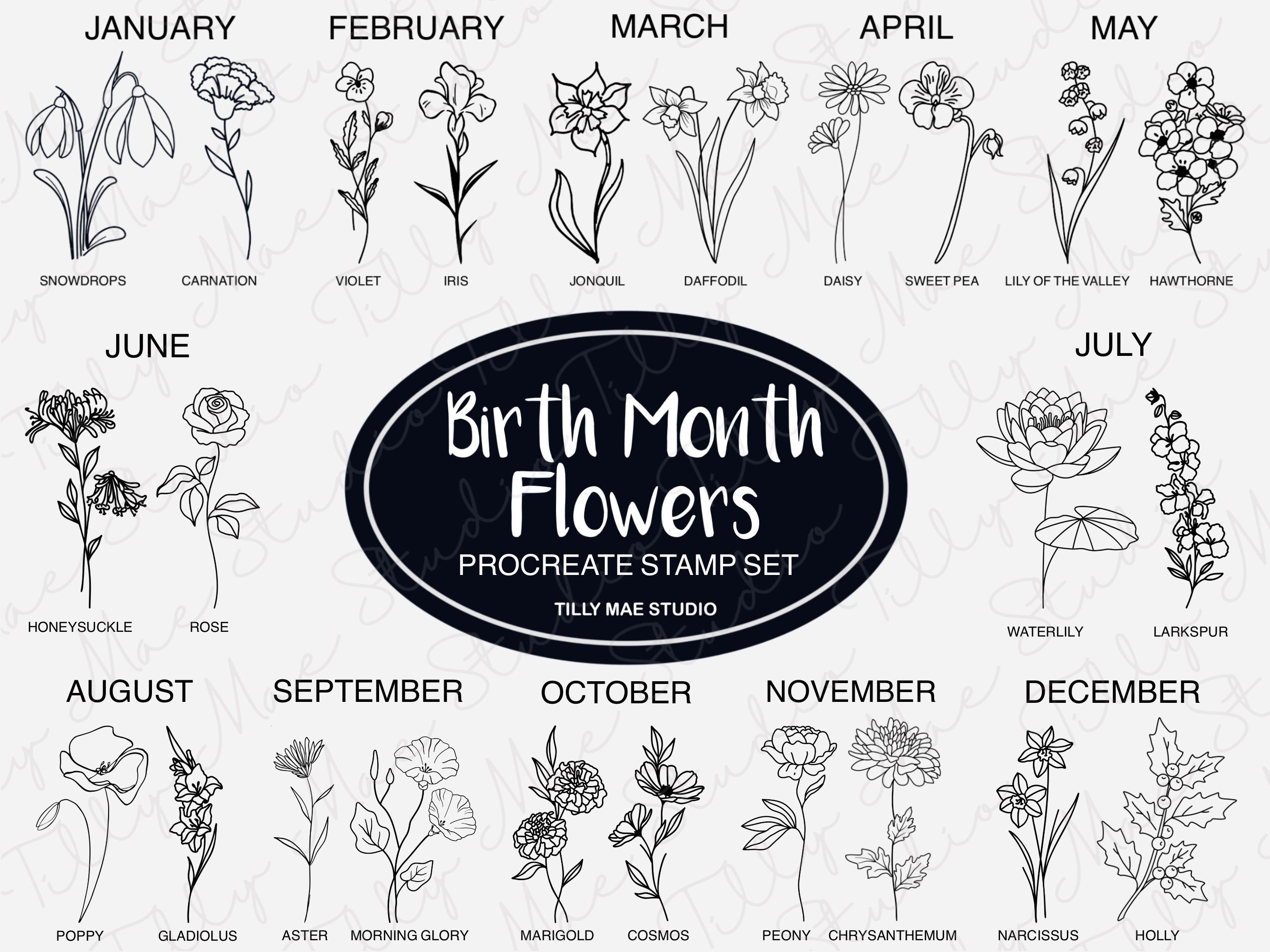 Birth Month Flowers Procreate Stamps: Floral Brush Set (digital ...