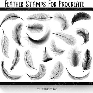 May include: A digital illustration of 18 black and white feather stamps for Procreate. The feathers are drawn in a realistic style and are arranged in a random pattern on a white background.