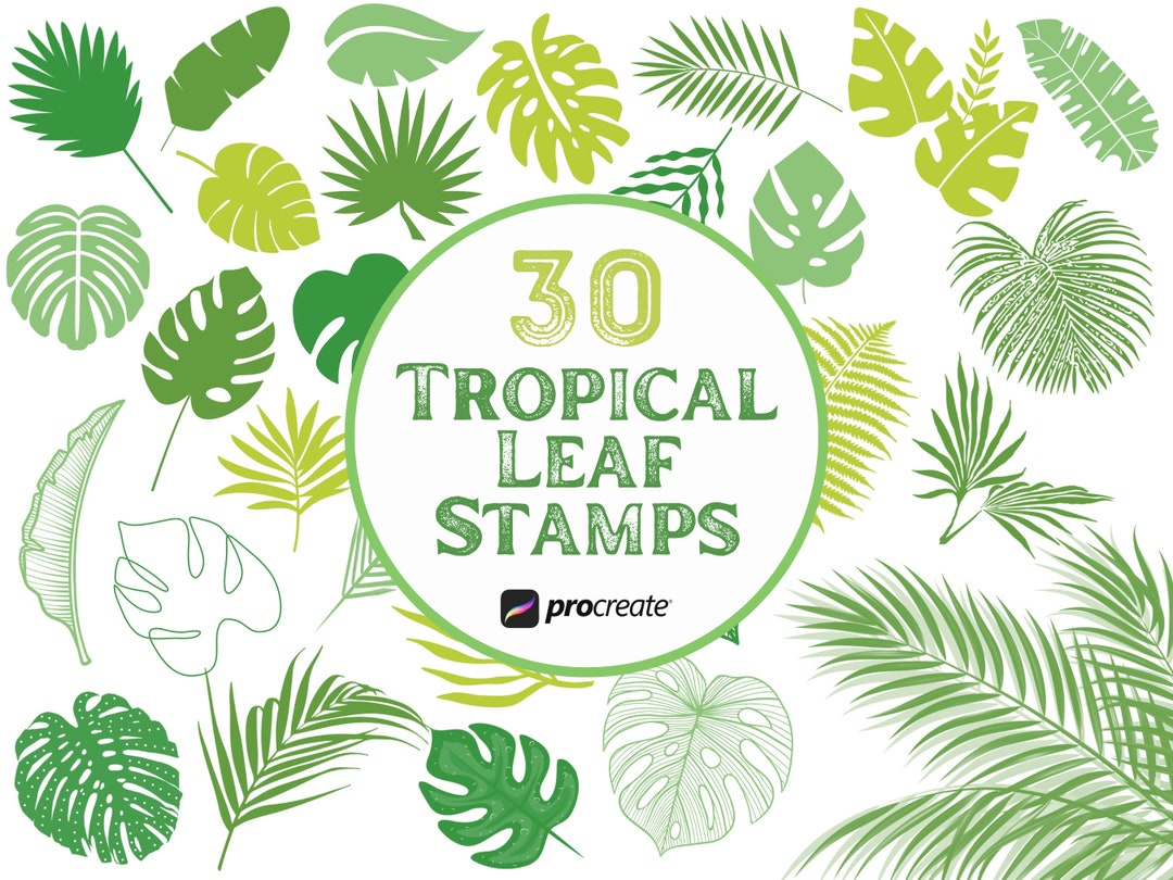 30 Tropical Leaf Procreate Stamps: Palm & Botanical Brush Set for ...
