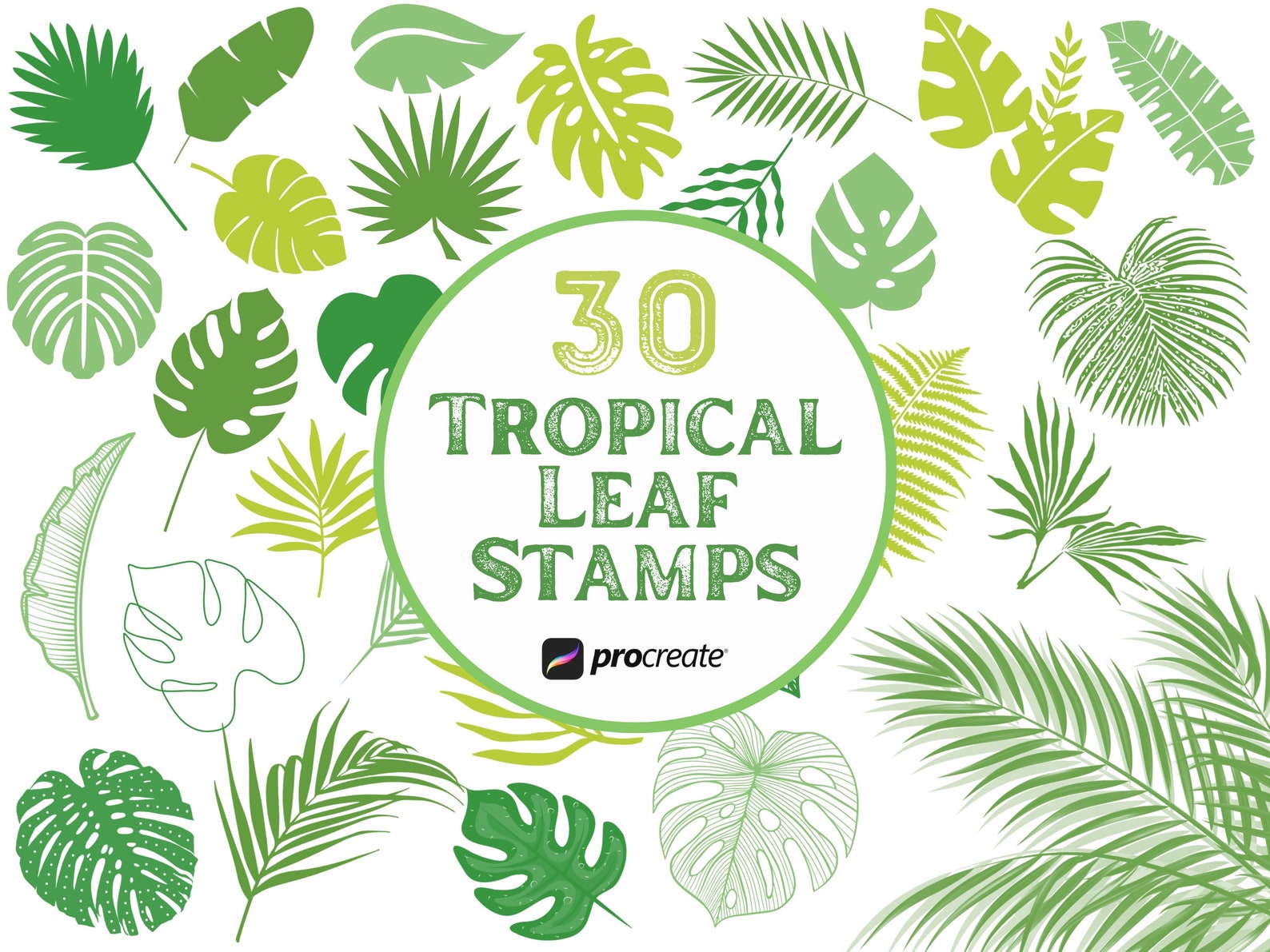 30 Tropical Leaves Procreate Stamps Procreate Tropical Leaf - Etsy
