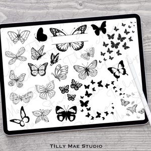 Élégants tampons et pinceaux Procreate papillon pour cartes, tatouages, travaux manuels : collection de cliparts d'art numérique