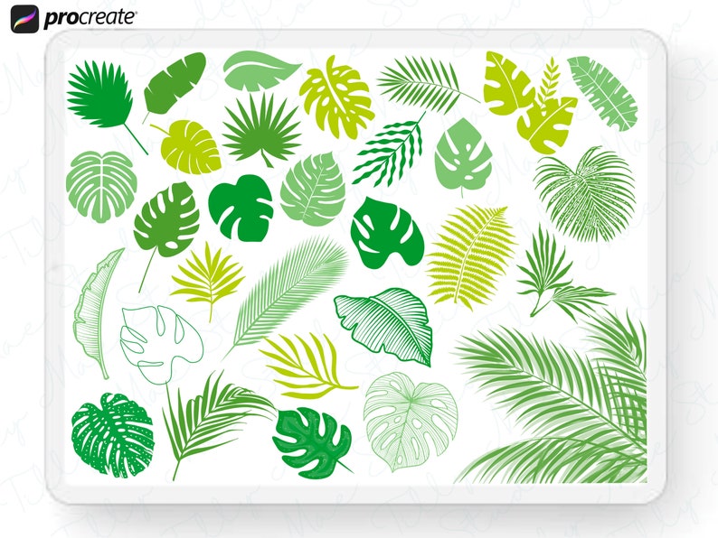 30 Tropical Leaf Procreate Stamps: Palm & Botanical Brush Set for ...
