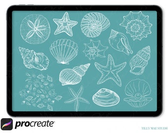 Seashell Procreate スタンプ: サマービーチ ブラシセット (デジタルダウンロード)