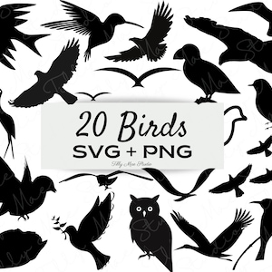 Bird SVG Files for Cricut Bundle - Birds Clipart - Bird svg - Nature svg Files - Birds png - Commercial Use Included
