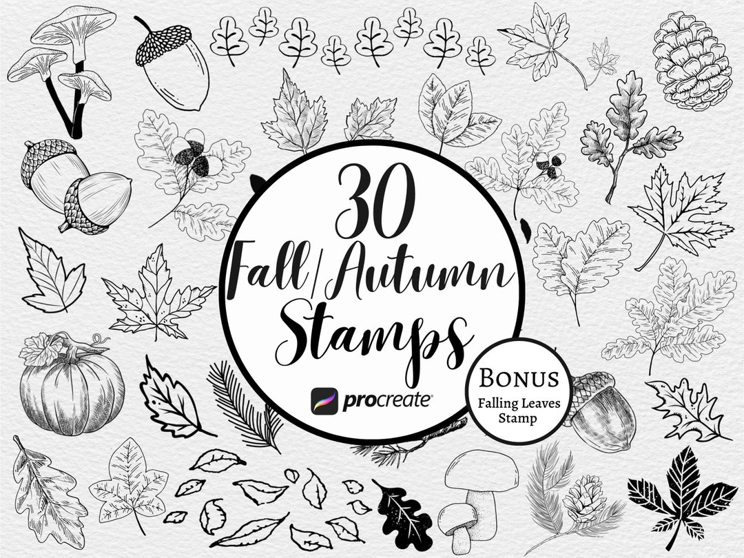Autumn Leaf Procreate Stamp Brush Set: Fall Nature Minimalist Flower ...