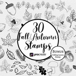 Autumn Leaf Procreate Stamp Brush Set: Fall Nature Minimalist Flower Digital Art Tool Pack