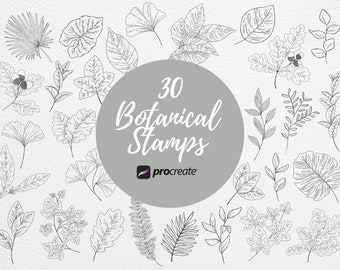 Procreate Blattstempel | 30 botanische Pinselsets für alle Jahreszeiten
