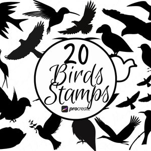Vogel Procreate Stempel, Vögel Stempel Pinsel, Procreate Vogel Pinsel Set enthält Bonus Aquarellpapier PNG Digital Download