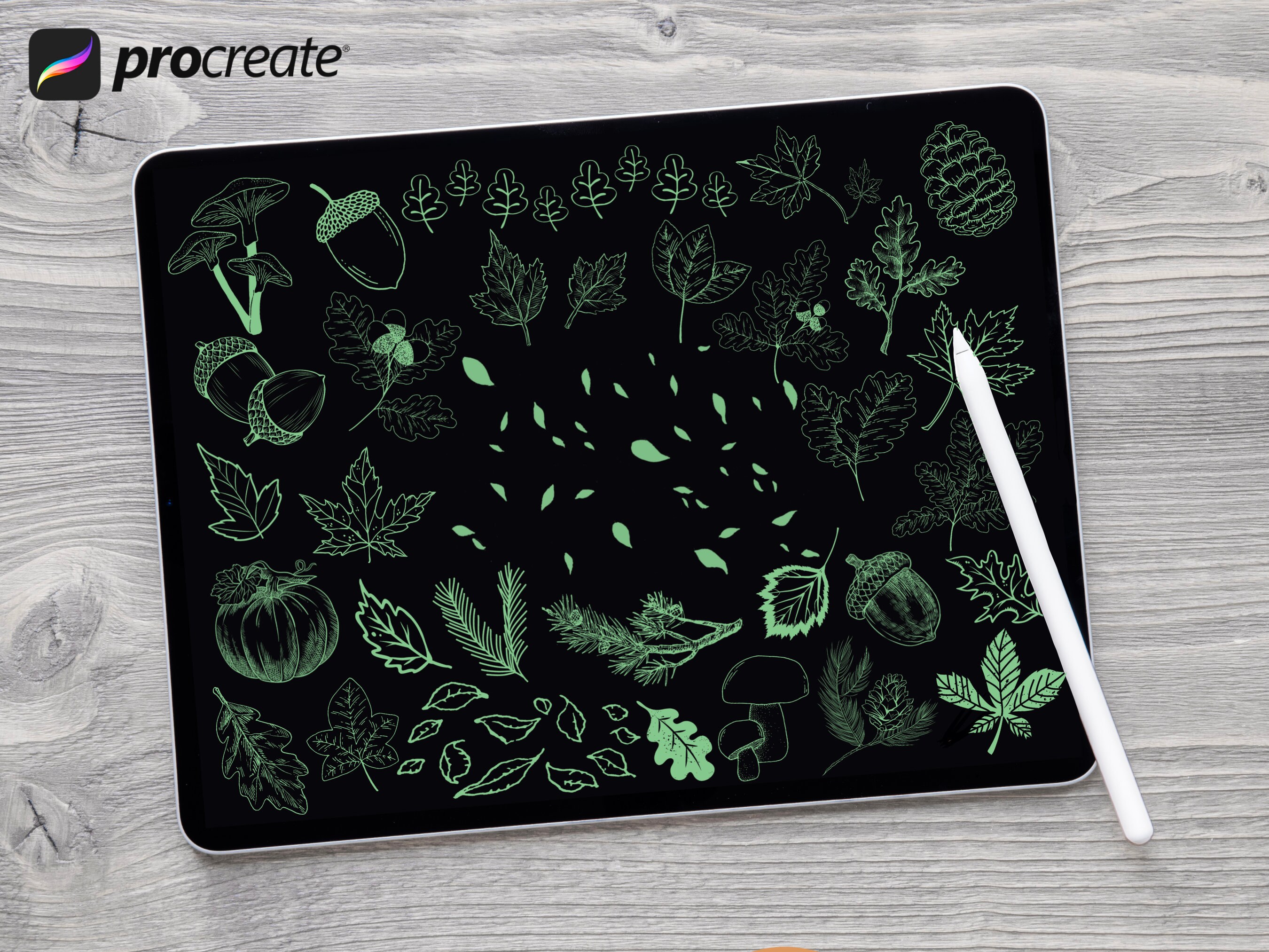 Autumn Leaf Procreate Stamp Brush Set: Fall Nature Minimalist Flower ...