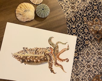 Cuttlefish original watercolour painting 23x31cm