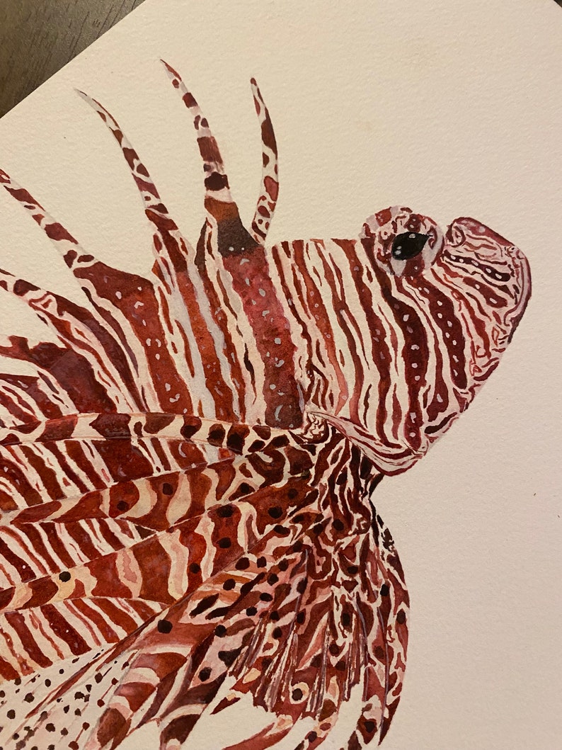 Lionfish original watercolour painting A4 afbeelding 3