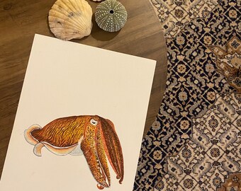 Cuttlefish original watercolour painting 23x31cm