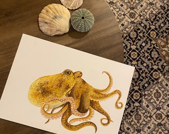 Octopus original watercolour painting A4