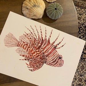 Lionfish original watercolour painting A4 afbeelding 2