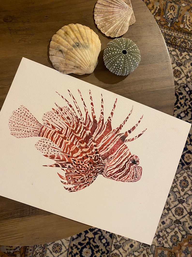 Lionfish original watercolour painting A4 afbeelding 2