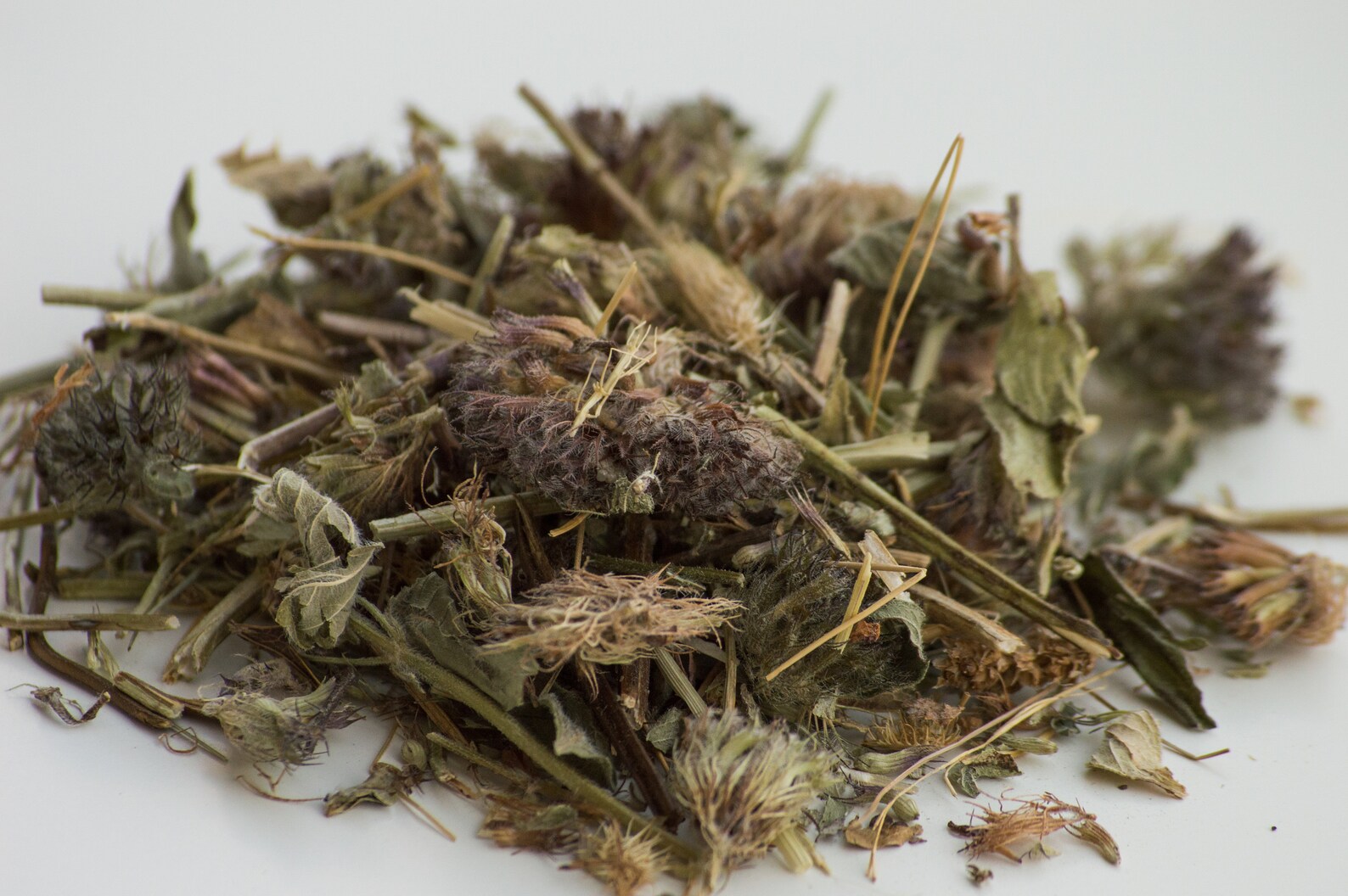 Wild basil Herbal tea Bulgarian Herbs Dried Herbs Etsy