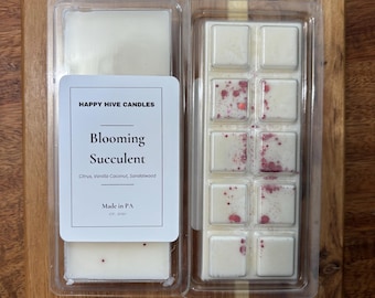 Pastillas de cera aromáticas Bloom con aroma a flor de cactus de Baja California.