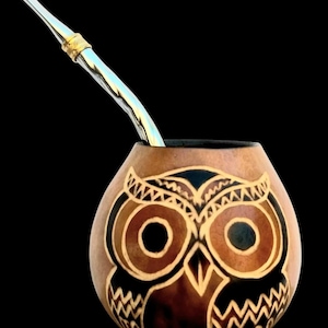 Può includere: Una zucca marrone con un disegno di gufo inciso su di essa. La zucca ha una cannuccia bombilla d'argento che sporge dalla parte superiore.
