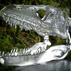 Velociraptor Skull *New! Larger Sizes Available!*