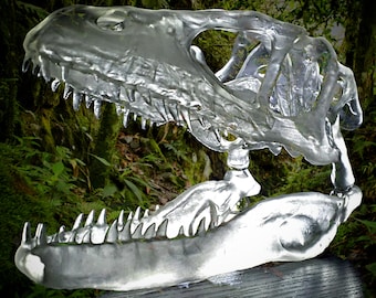 Crâne de vélociraptor *Nouveau ! Plus grandes tailles disponibles !*